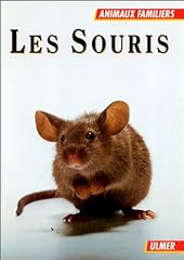 Souris rats gerbilles d'occasion  Livré partout en Belgiqu