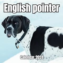 English pointer calendar for sale  Delivered anywhere in UK