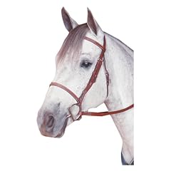 Kincade raised fancy for sale  Delivered anywhere in USA 