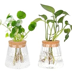 Mjfendai stück hydrokultur gebraucht kaufen  Wird an jeden Ort in Deutschland