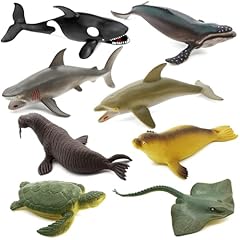 Fun gift sea for sale  Delivered anywhere in UK