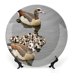 Egyptian geese birds for sale  Delivered anywhere in USA 