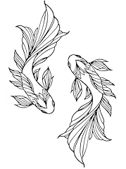 Resaco koi fish for sale  Delivered anywhere in USA 