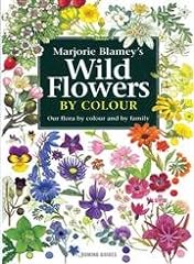 Wild flowers colour for sale  Delivered anywhere in UK