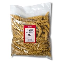 Skygold finest millet for sale  Delivered anywhere in UK