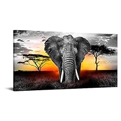 Artmyharbor elephant sunset for sale  Delivered anywhere in USA 