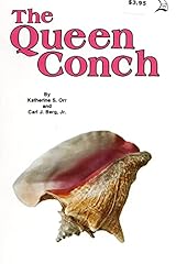 Queen conch for sale  Delivered anywhere in USA 