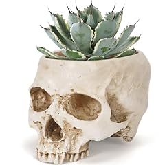 Sinromrich skull planter for sale  Delivered anywhere in USA 