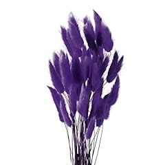 Diyxisk pampas grass for sale  Delivered anywhere in UK