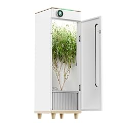 Hey abby grow for sale  Delivered anywhere in UK