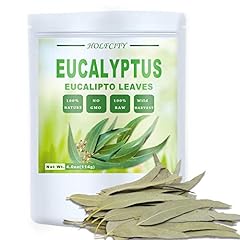 Whole eucalyptus leaves for sale  Delivered anywhere in USA 
