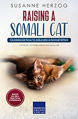 Raising somali cat for sale  Delivered anywhere in USA 