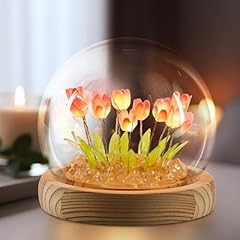 Onxe tulip night for sale  Delivered anywhere in USA 