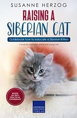 Raising siberian cat for sale  Delivered anywhere in USA 