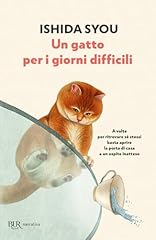 Gatto per giorni usato  Spedito ovunque in Italia 
