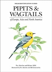 Pipits wagtails asia for sale  Delivered anywhere in UK