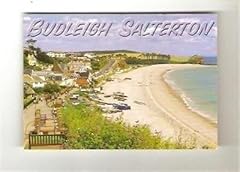 Postcard devon budleigh for sale  Delivered anywhere in UK