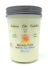 Nature lite candle for sale  Delivered anywhere in USA 