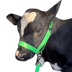 Cow halter cattle for sale  Delivered anywhere in UK
