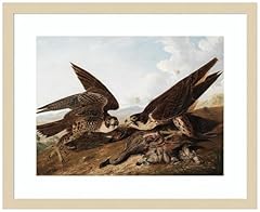 Amanti art framed for sale  Delivered anywhere in USA 