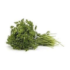 Herb parsley curly for sale  Delivered anywhere in USA 