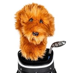 Daphne doodle dog for sale  Delivered anywhere in UK