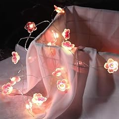 Goldrock led lichterkette gebraucht kaufen  Wird an jeden Ort in Deutschland