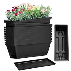 Packs rectangle plant for sale  Delivered anywhere in UK