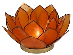 Guru shop lotus gebraucht kaufen  Wird an jeden Ort in Deutschland