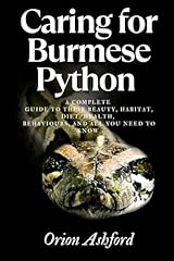 Caring burmese python for sale  Delivered anywhere in USA 