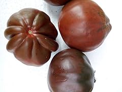 Semi pomodoro cuore usato  Spedito ovunque in Italia 