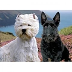 Faithful friends scottish for sale  Delivered anywhere in UK