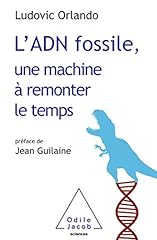 Adn fossile machine d'occasion  Livré partout en France