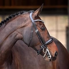 Shires velociti lusso for sale  Delivered anywhere in UK