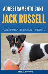 Addestramento cani jack usato  Spedito ovunque in Italia 