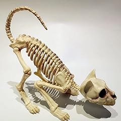 Crouching cat skeleton for sale  Delivered anywhere in Ireland