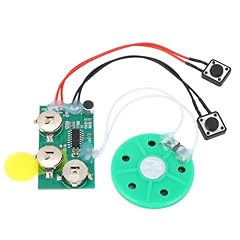 Diy voice grußkartenmodul gebraucht kaufen  Wird an jeden Ort in Deutschland