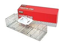 Pest stop squirrel for sale  Delivered anywhere in Ireland