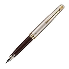 Pilot e95s fountain usato  Spedito ovunque in Italia 