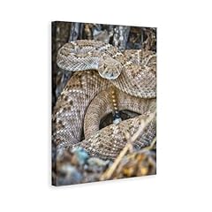 Viper western diamondback for sale  Delivered anywhere in USA 