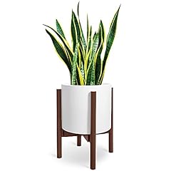 Derekey plant pot for sale  Delivered anywhere in USA 