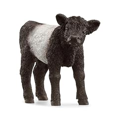 Schleich 13969 galloway gebraucht kaufen  Wird an jeden Ort in Deutschland