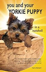 Yorkie puppy nutshell for sale  Delivered anywhere in USA 