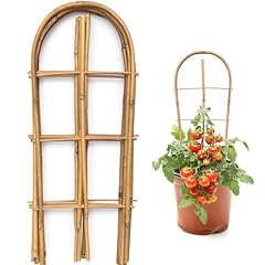 Swangsa pack bamboo for sale  Delivered anywhere in USA 
