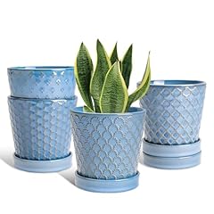 Efispss plant pots for sale  Delivered anywhere in USA 