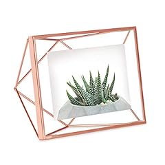 Umbra prisma cadre d'occasion  Livré partout en France
