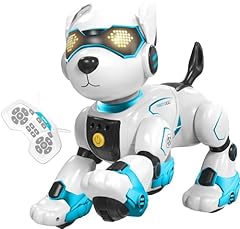 Dnenellr cane robot usato  Spedito ovunque in Italia 