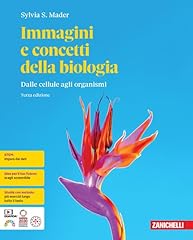 Immagini concetti della usato  Spedito ovunque in Italia 