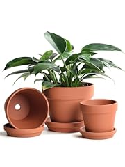 Ingofin terracotta pots for sale  Delivered anywhere in USA 