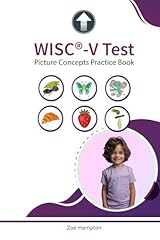 Wisc test picture usato  Spedito ovunque in Italia 